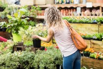 Frau überprüft Topfpflanzen in Gartencenter — Stockfoto