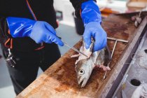 Cropped image of fisherman filleting fish on boat — Stock Photo