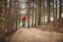 Езда на горном велосипеде по грунтовой дороге среди деревьев в лесу — стоковое фото