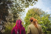 Visão traseira do casal hipster em pé no parque — Fotografia de Stock