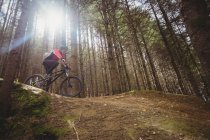 Low angle view of mountain biker riding on dirt road by tree in forest — Stock Photo