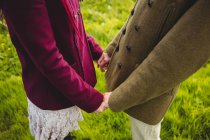 Midsection of couple holding hands while standing at park — Stock Photo