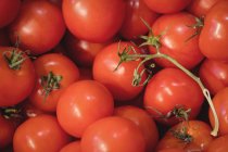 Закри свіжими помідорами в супермаркеті — стокове фото