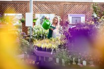 Floristin gießt Pflanzen mit Gießkanne im Gartencenter — Stockfoto