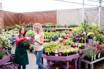 Florist talking to woman about plants in garden centre — Stock Photo