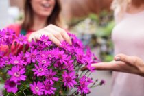 Image recadrée de Fleuriste et femme vérifiant les fleurs dans le centre de jardin — Photo de stock