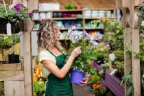 Female florist looking at potted plant in garden centre — Stock Photo