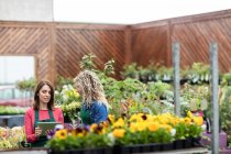 Dos floristas femeninas usando tableta digital en el centro del jardín - foto de stock