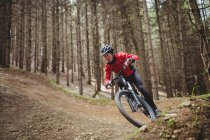 Mountain biker riding on dirt road amidst tree in forest — Stock Photo