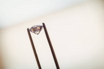 Close-up de diamante em fórceps na oficina — Fotografia de Stock