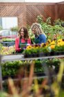 Dos floristas femeninas usando tableta digital en el centro del jardín - foto de stock