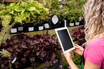 Женщина-флористка фотографирует горшки с растениями в центре сада — стоковое фото