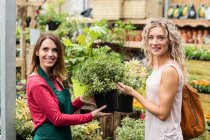 Жіночий флорист і жінка тримає горщики рослини в садовому центрі — стокове фото