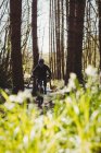 Vista frontal do ciclista de montanha andando na floresta — Fotografia de Stock