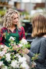 Fiorista parlare con la donna di piante in giardino centro — Foto stock