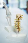 Primo piano della colonna vertebrale lombare in clinica — Foto stock