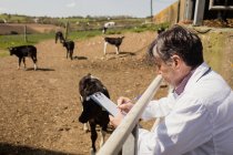 Seitenansicht eines Tierarztes, der im Stehen am Zaun in Klemmbrett schreibt — Stockfoto