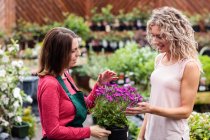 Blumenhändler zeigt Frau in Gartencenter Blumen — Stockfoto