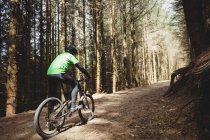 Visão traseira do ciclista de montanha andando na estrada de terra em meio a árvore na floresta — Fotografia de Stock