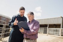 Low angle view of farmer and vet looking in clipboard on sunny day — Stock Photo