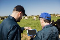 Mitarbeiter diskutieren bei klarem Himmel über digitales Tablet auf dem Feld — Stockfoto