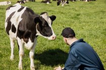 Ouvrier agricole accroupi par la vache sur un champ herbeux — Photo de stock