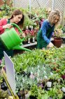 Женщины-флористы поливают растения лейкой в центре сада — стоковое фото