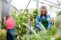 Two female florists working together in garden centre — Stock Photo
