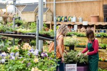 Floristin zeigt Frau in Gartencenter Topfpflanze — Stockfoto