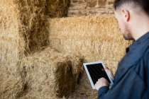 Vista lateral del trabajador agrícola utilizando tableta digital por fardos de heno en el granero - foto de stock