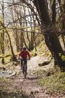 Vista frontal del ciclista de montaña cabalgando por los árboles en el bosque - foto de stock