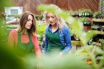 Duas floristas femininas interagindo umas com as outras no centro de jardim — Fotografia de Stock