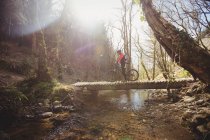 Mountainbiker auf Fußgängerbrücke über Bach im Wald — Stockfoto