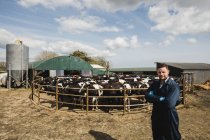 Retrato de campesino confiado de pie contra vacas en el granero - foto de stock