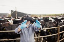 Agricoltore indossando simulatore di realtà virtuale da recinzione contro il cielo — Foto stock