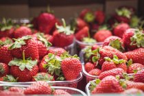 Gros plan sur les fraises dans des boîtes en plastique au supermarché — Photo de stock