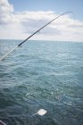 Ray fish caught in fishing rod while fishing in sea — Stock Photo