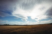 Vista do campo e do céu no campo — Fotografia de Stock