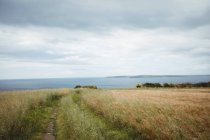 Вид на море с поля в пасмурный день — стоковое фото