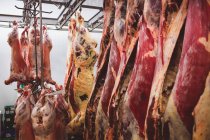Carne rossa pelata appesa nel ripostiglio della macelleria — Foto stock