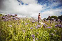 Beekeeper examining beautiful lavender flowers in field — Stock Photo