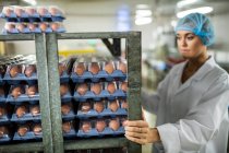 Personal femenino examinando huevos marrones en estantería en fábrica de huevos - foto de stock