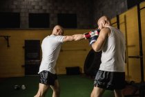 Dois tailandeses boxeadores boxe no ginásio — Fotografia de Stock