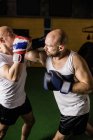 Visão de alto ângulo de dois boxers tailandeses praticando boxe no ginásio — Fotografia de Stock