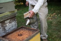 Apicoltore che lavora con il fumatore nel giardino dell'apiario — Foto stock