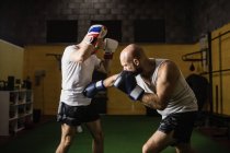 Two caucasian thai boxers practicing boxing in gym — Stock Photo