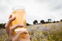 Imagen recortada del apicultor sosteniendo una botella de miel en el campo - foto de stock