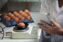 Abgeschnittenes Bild von Mitarbeiterinnen mit digitalem Tablet bei der Untersuchung von Ei auf digitalem Ei-Monitor — Stockfoto