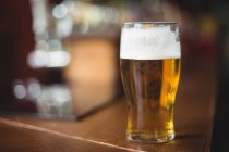 Стакан пива в стойке в баре — стоковое фото