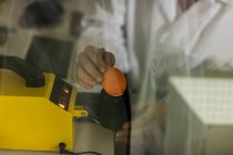 Imagen recortada de trabajadora examinando huevo en monitor de huevo digital en fábrica de huevo - foto de stock